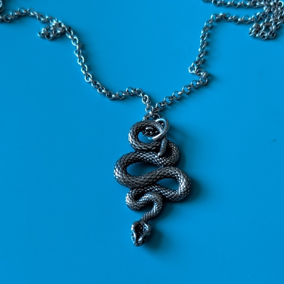 Silver Snake Pendant Necklace for Reptile Lovers - Picture 1 of 4